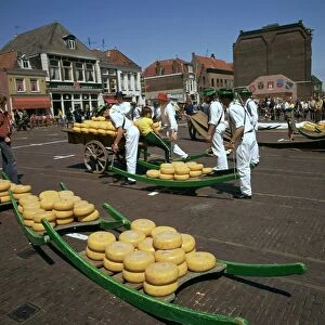 Alkmaar cheese market in Holland