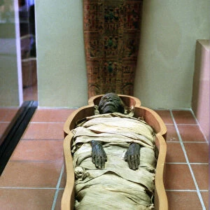 Ancient Egyptian mummy in wrappings