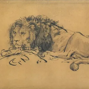Rembrandt Lion Print, Louvre Collection, c1650