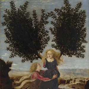 Apollo and Daphne, ca. 1470-1480. Artist: Pollaiuolo, Antonio (ca 1431-1498)