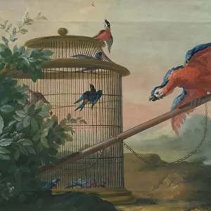 Birds, 1750s. Creator: Johan Pasch