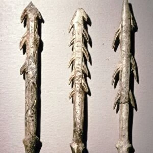 Bone Harpoons for fishing, Dordogne region, France, Paleolithic Period, (c20th century)