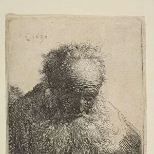 Bust of an Old Man with a Flowing Beard: the Head Bowed Forward: Left Shoulder Unshaded