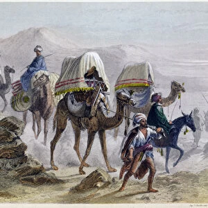 The Camel Train, 1855. From Constantinople and the Black Sea