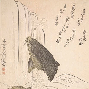 Carp Trying to Swim up a Waterfall, probably 1820. Creator: Kurokawa Michita