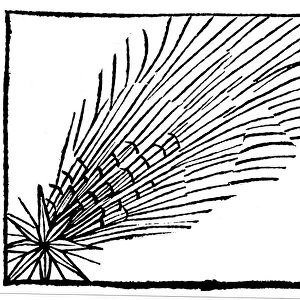 Comet of 684 (Halley), 1493