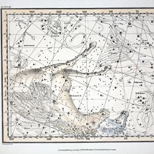The Constellations (Plate XII) Pegasus, and Equuleus, 1822