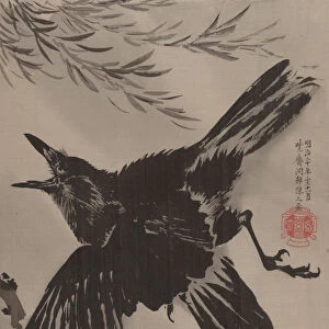 Crow and Willow Tree, November 1887. Creator: Kawanabe Kyosai