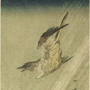 Cuckoo flying in rain, early 1830s. Creator: Ando Hiroshige