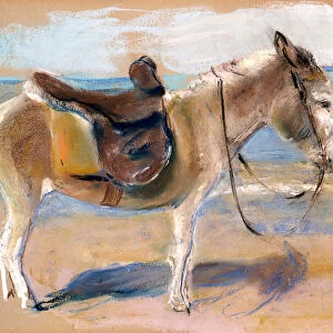 Donkey on the beach of Noordwijk, 1908. Creator: Liebermann, Max (1847-1935)