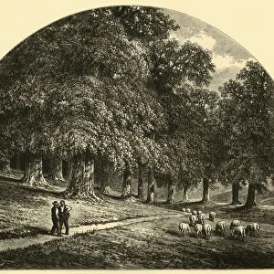 Druid-Hill Park, 1874. Creator: John Filmer