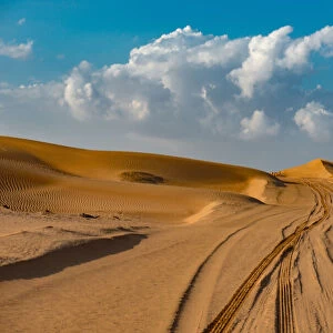 Dubai Desert Safari. Creator: Viet Chu