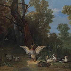 Ducks Resting in Sunshine, 1753. Creator: Jean-Baptiste Oudry