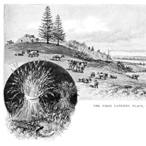 The first landing place, Botany Bay, New South Wales, Australia, 1886. Artist: W Macleod
