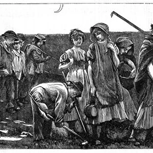 Gang system of child labour, c1885