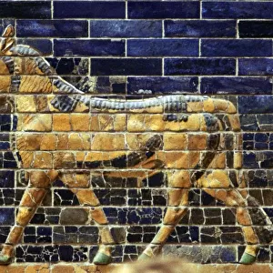 Glazed Brick relief of a bull on the Sacred Way leading to the Ishtar Gate, Babylon, c580 BC