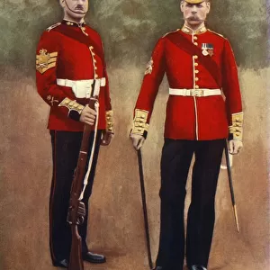 The Grenadier Guards (Colour-Sergeant & Sergeant-Major), 1901. Creator: Gregory & Co