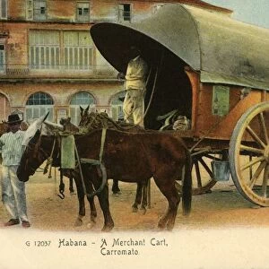 Habana - A Merchant Cart, Carromato, c1910. Creator: Unknown
