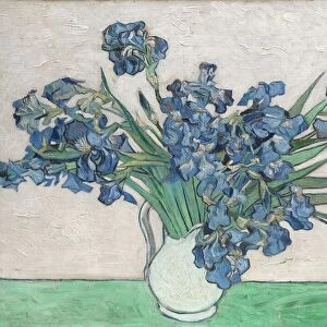 Irises, 1890. Creator: Vincent van Gogh