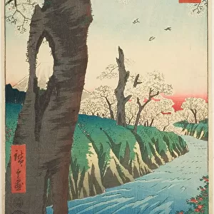 Koganei in Musashi Province (Musashi Koganei), from the series "Thirty-six Views of... 1858. Creator: Ando Hiroshige. Koganei in Musashi Province (Musashi Koganei), from the series "Thirty-six Views of... 1858. Creator: Ando Hiroshige