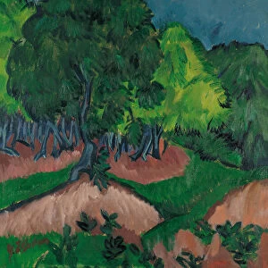 Landscape with Chestnut Tree, 1913. Artist: Kirchner, Ernst Ludwig (1880-1938)