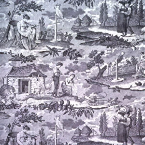 Le Kakatoes (The Cockatoo) (Furnishing Fabric), Nantes, c. 1815