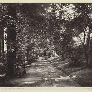 Leamington, in the Jephson Gardens, 1860 / 94. Creator: Francis Bedford