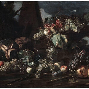 Still Life with Grapes, 17th century. Artist: Michelangelo Pace del Campidoglio