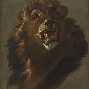 Lion, 1750s. Creator: Giuseppe Baldrighi (Italian, 1723-1803)