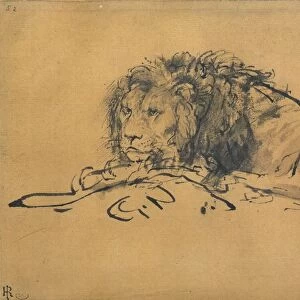 Lion Resting, Turned to the Left, c1650. Artist: Rembrandt Harmensz van Rijn
