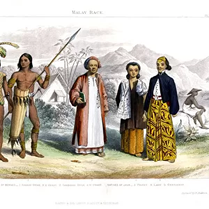 Malay Race, 1800-1900. Artist: R Anderson