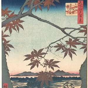 Maples at Mama, from the series One Hundred Famous Views of Edo, ca. 1857. ca. 1857. Creator: Ando Hiroshige