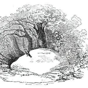 Tam O Shanter Illustration Print, 1866. Art Prints, Posters