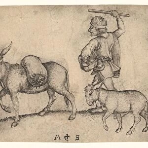 The Miller, ca. 1435-1491. Creator: Martin Schongauer