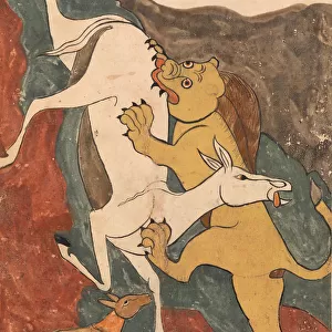 The Monkey Tells the Story of the Fox Luring the Ass to its Death by the Lion