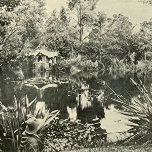 Mr. Ryans Gardens, Mount Macedon, Victoria, 1901. Creator: Unknown