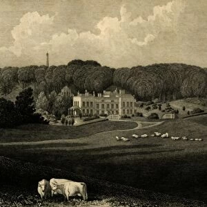 Muntham, 1835. Creator: Charles J Smith