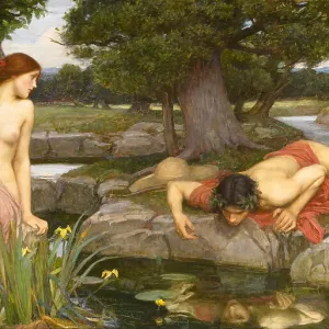 Narcissus and Echo Print, Walker Art Gallery Collection Narcissus and Echo Print, Walker Art Gallery Collection