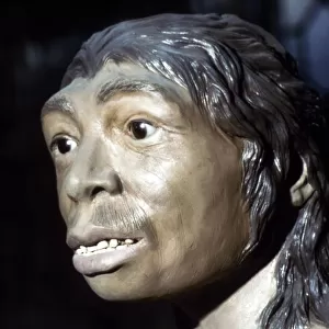Neanderthal Woman: Reconstruction at British Museum, National History, c20th century