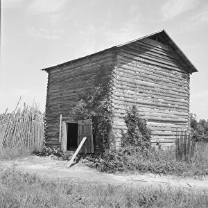 The old tobacco barn (new one under construction. ), Chatham County, North Carolina, 1939. Creator: Dorothea Lange