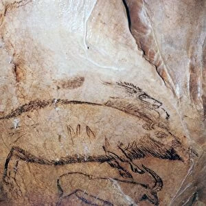 Paleolithic cave-painting of a bison and ibex