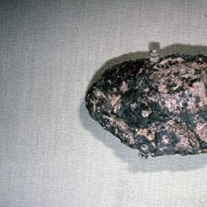 Paleolithic Quartz Flake Tool from Olduvai, 1 to 2 million years old