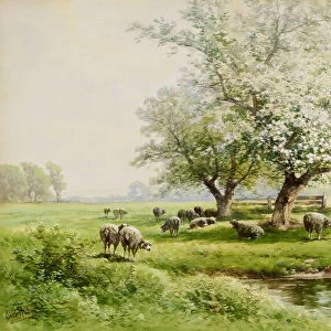 Pastoral Landscape, late 19th-early 20th century. Creator: Carl Weber