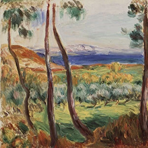 Pins aux environs de Cagnes, c. 1910. Creator: Renoir, Pierre Auguste (1841-1919)