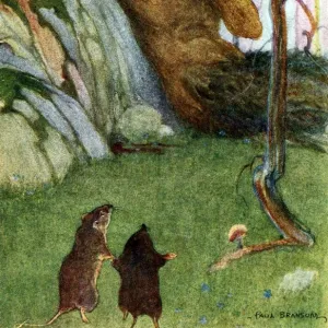 The Piper at the Gates of Dawn from Wind in the Willows, pub. 1913 (colour lithograph), 1913