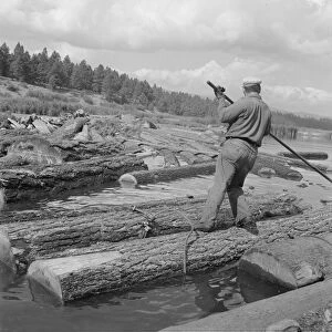 Pond monkey channels log raft, Keno, Klamath County, Oregon, 1939. Creator: Dorothea Lange