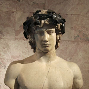 Portrait of Antinous, mid 2nd century