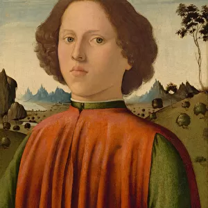 Portrait of a Boy, c. 1476 / 1480. Creator: Biagio d Antonio