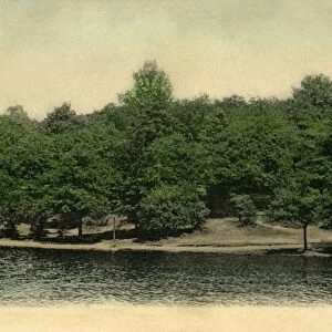 Queensmere, Wimbledon Common, London, 1903. Creator: Unknown