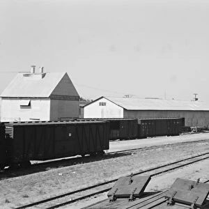 Railroad yard behind potato shed from which... Tulelake, Siskiyou County, California, 1939. Creator: Dorothea Lange